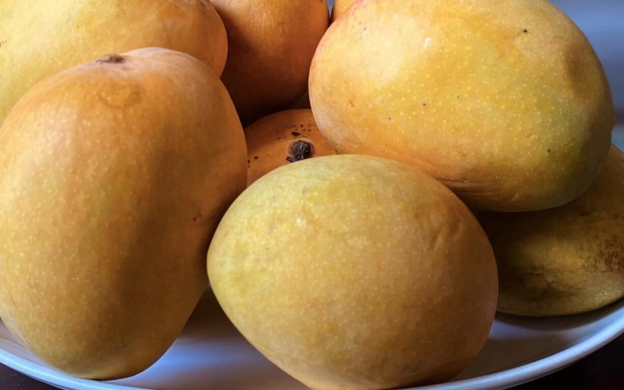 Goan Mangoes