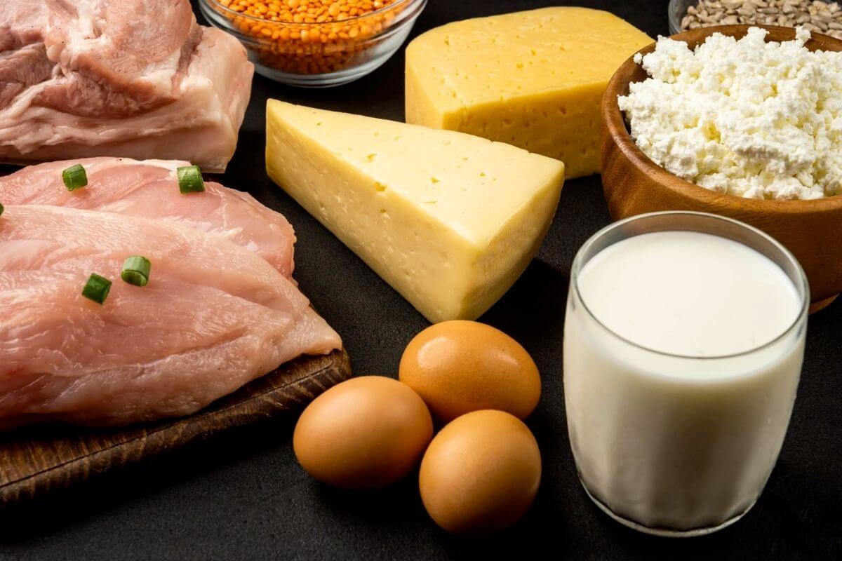Savoury Dairy or Animal Products