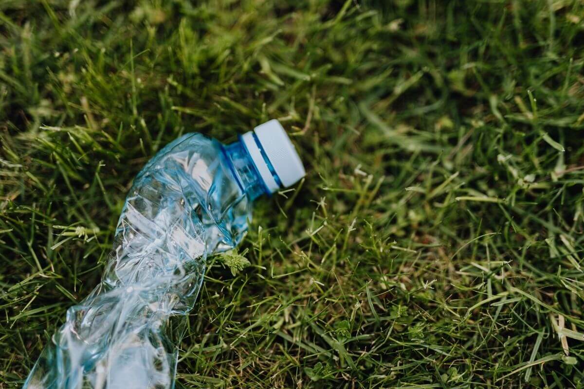 single-use plastics